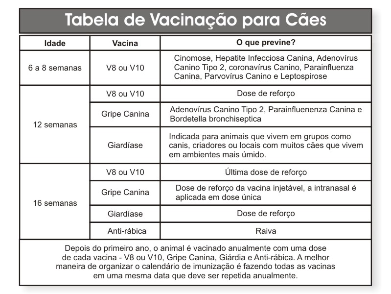 calendario-de-vacinacao-caes
